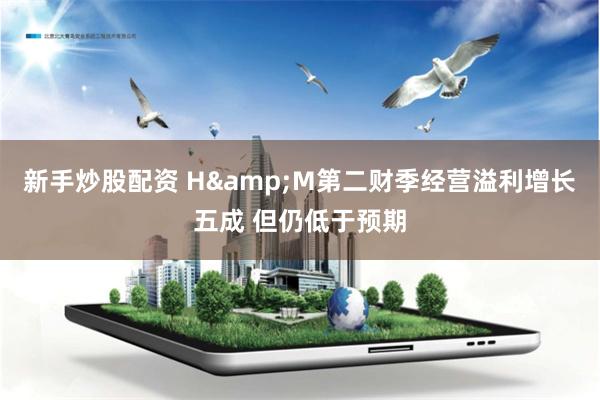 新手炒股配资 H&M第二财季经营溢利增长五成 但仍低于预期